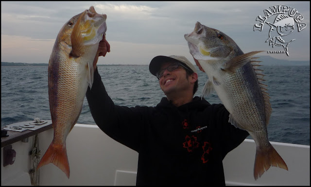 Doblete Dentones con señuelos Duraflot