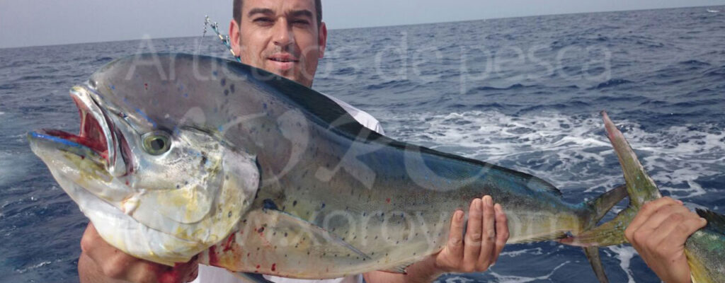 Lambor Jigging - Máxima potencia